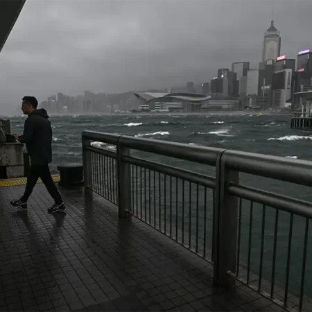 Macau Casinos Typhoon Wipha News Updates: Closures, Safety, and Recovery Insights