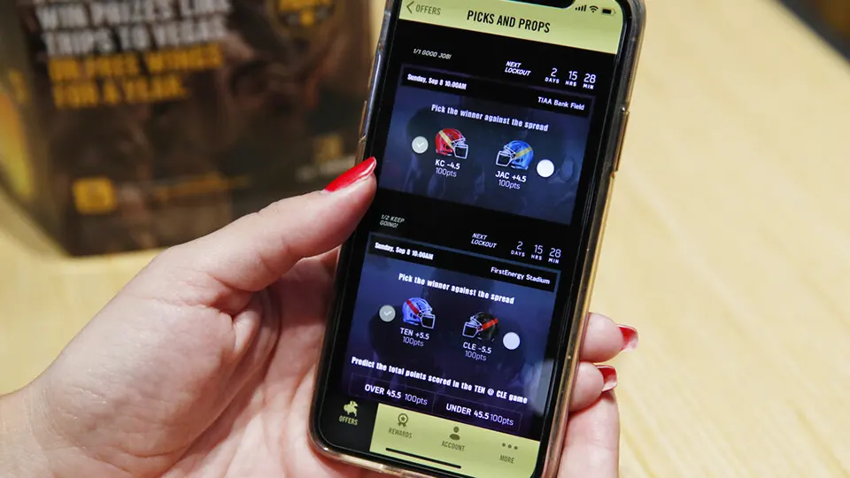 e-wallet ban impact on online gaming payments