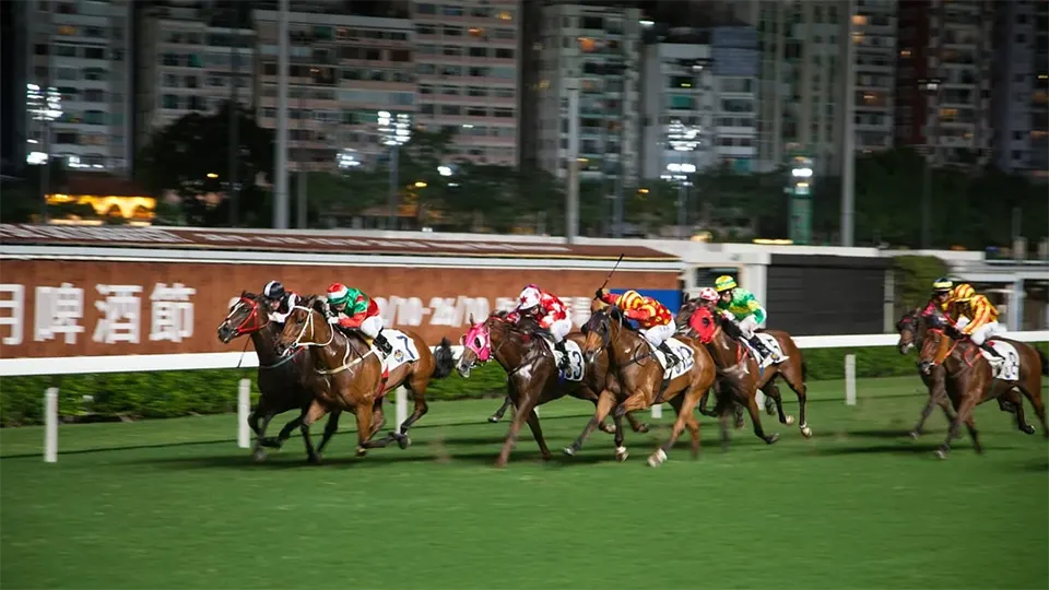 Hong Kong Jockey Club sports betting trends